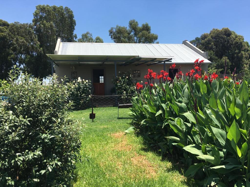 Sanctuary Life Guest Farm Hotel Magaliesburgo Exterior foto