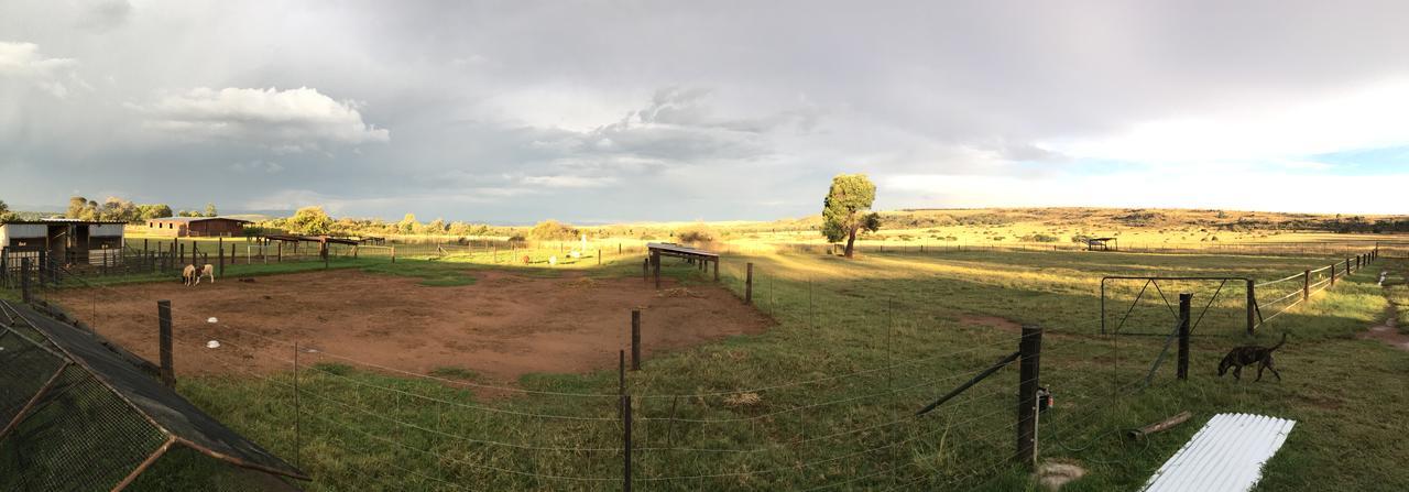 Sanctuary Life Guest Farm Hotel Magaliesburgo Exterior foto