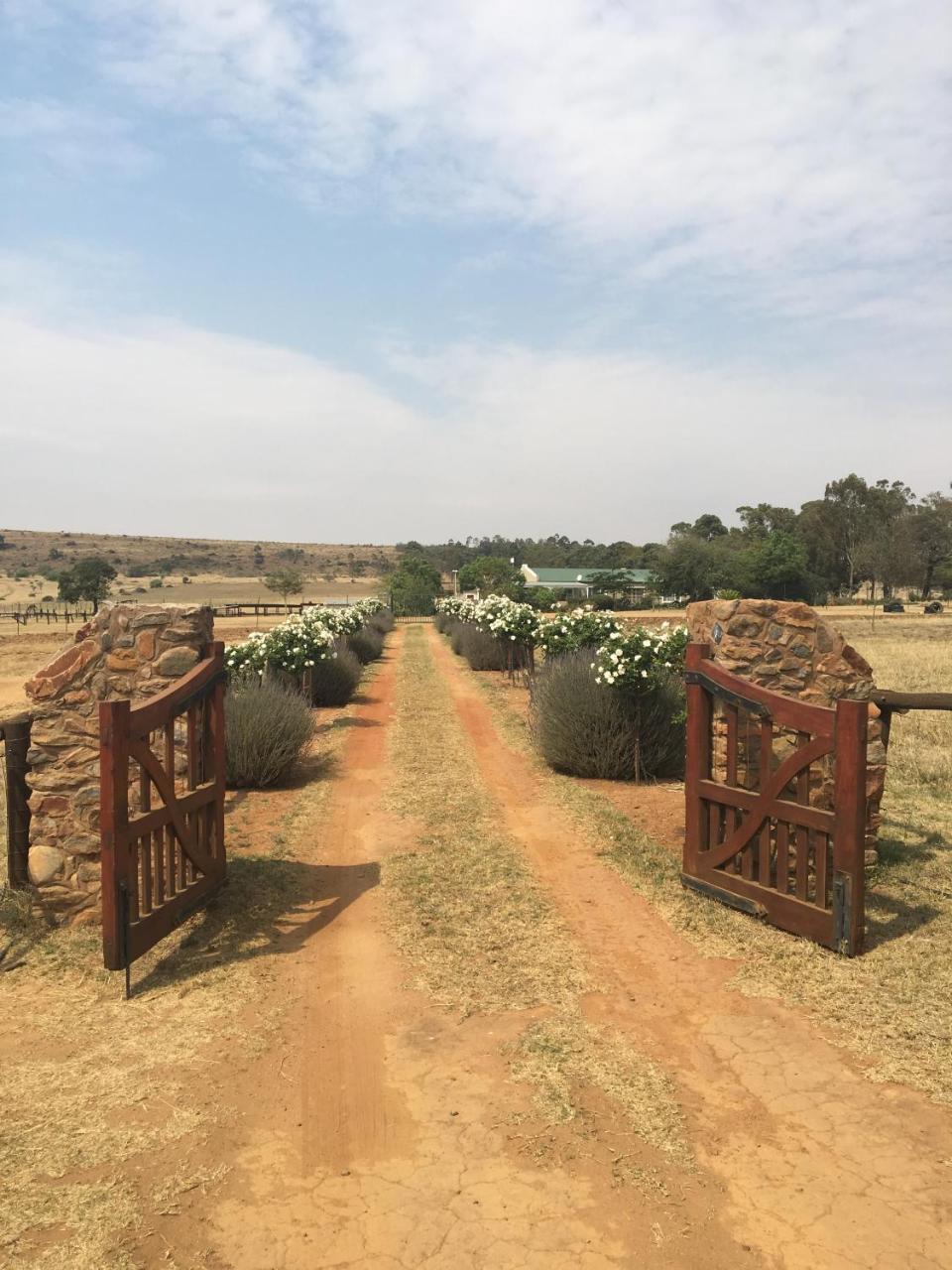 Sanctuary Life Guest Farm Hotel Magaliesburgo Exterior foto